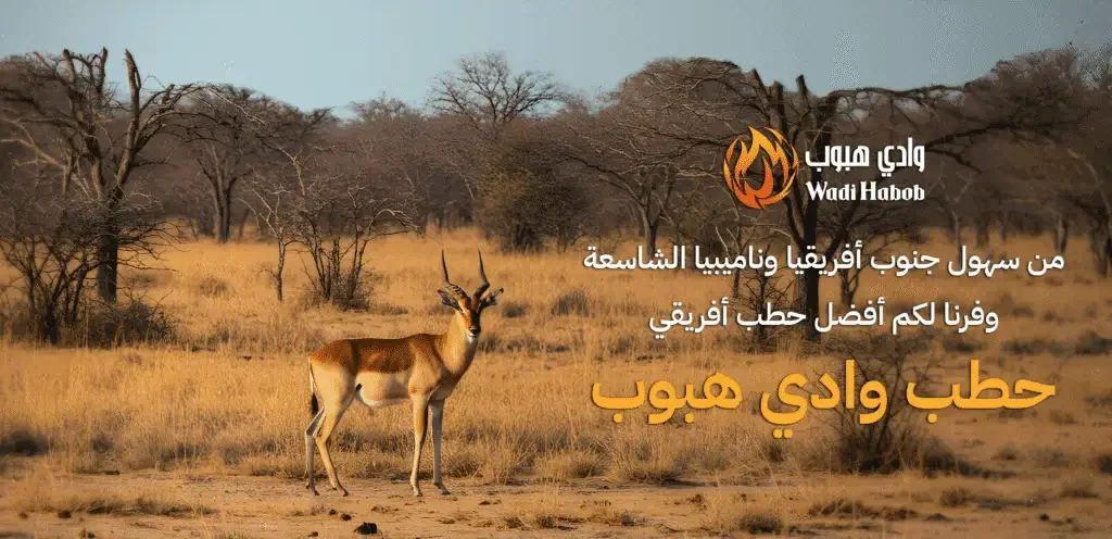 حطب افريقي فاخر