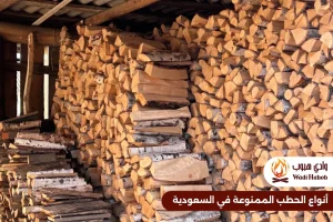 أنواع الحطب الممنوعة في السعودية