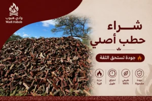 شراء حطب أصلي في السعودية 2026